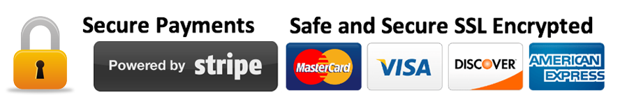 secured online payment by stipe - master driving school - master drivers